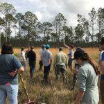 2018 Field workshop A diverse group of people in a grassland with pine overstory listen to a presenter discuss the local ecosystem