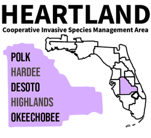 Heartland_counties_400px A map of Florida with the Heartland Cooperative Invasive Species Management Area highlighted in lavendar, and the text saying, "Polk, Hardee, Desoto, Highlands, and Okeechobee Counties"