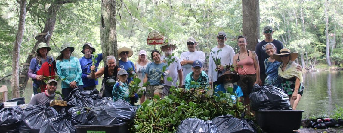 A group of people stand behind bags of water hyacinth on the banks of a river with trees around them.