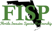 FISP